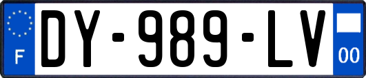 DY-989-LV