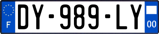 DY-989-LY