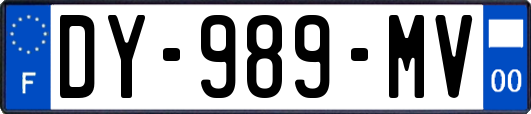 DY-989-MV
