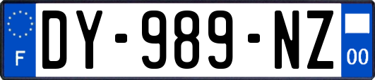 DY-989-NZ