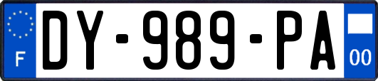 DY-989-PA