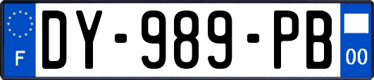 DY-989-PB