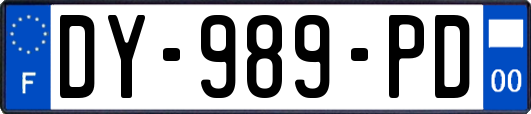 DY-989-PD