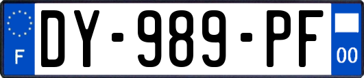 DY-989-PF