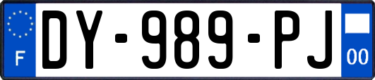 DY-989-PJ
