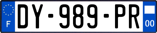 DY-989-PR
