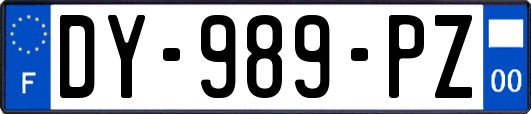 DY-989-PZ