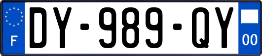 DY-989-QY