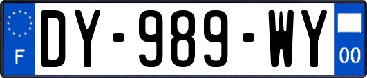 DY-989-WY