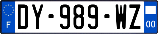 DY-989-WZ