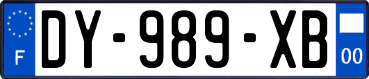 DY-989-XB