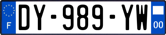 DY-989-YW