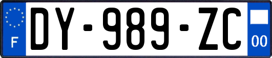 DY-989-ZC