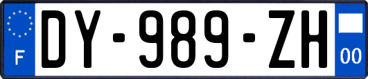 DY-989-ZH