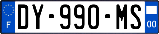 DY-990-MS