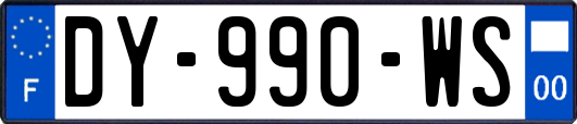 DY-990-WS