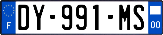 DY-991-MS