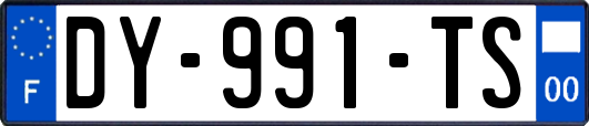 DY-991-TS