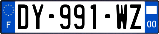 DY-991-WZ