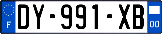 DY-991-XB