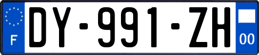 DY-991-ZH