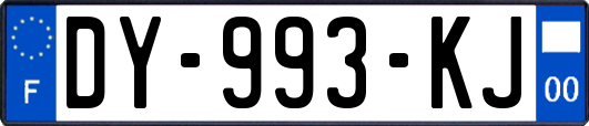 DY-993-KJ