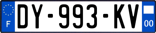 DY-993-KV