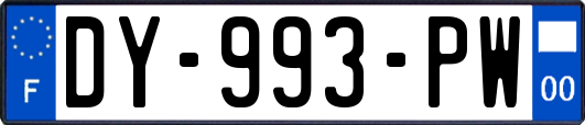 DY-993-PW