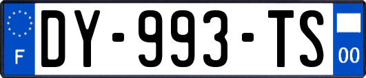 DY-993-TS