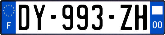 DY-993-ZH