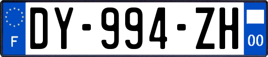 DY-994-ZH