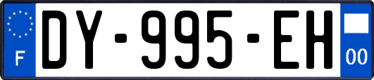 DY-995-EH