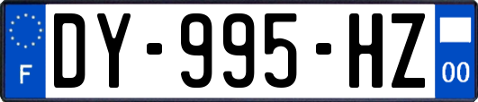 DY-995-HZ