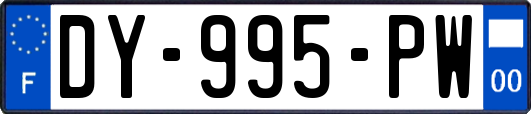 DY-995-PW