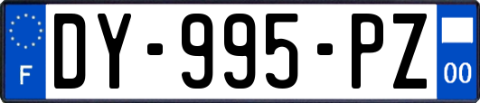 DY-995-PZ