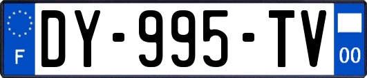 DY-995-TV