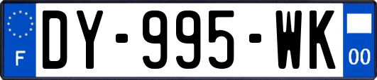 DY-995-WK