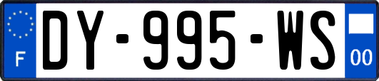 DY-995-WS