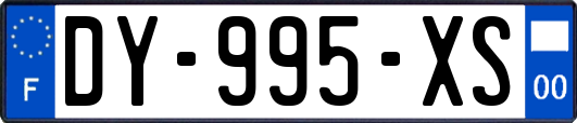 DY-995-XS