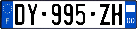 DY-995-ZH