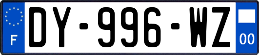 DY-996-WZ