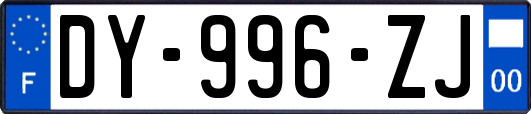 DY-996-ZJ