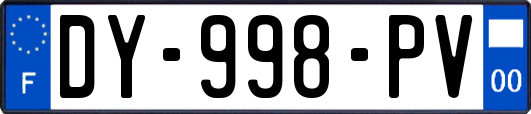 DY-998-PV