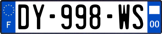 DY-998-WS