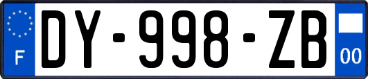 DY-998-ZB