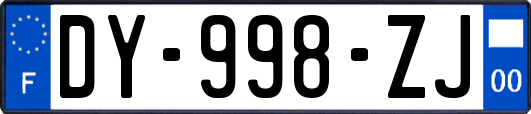 DY-998-ZJ