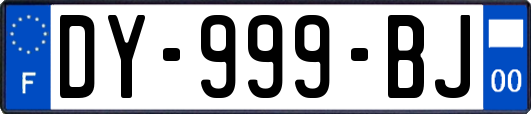 DY-999-BJ