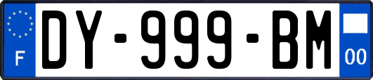 DY-999-BM