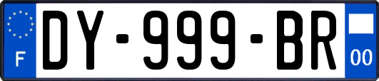 DY-999-BR