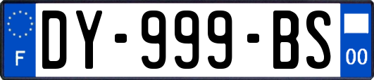 DY-999-BS
